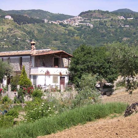 Agriturismo Acampora Villa Cerchiara di Calabria Luaran gambar