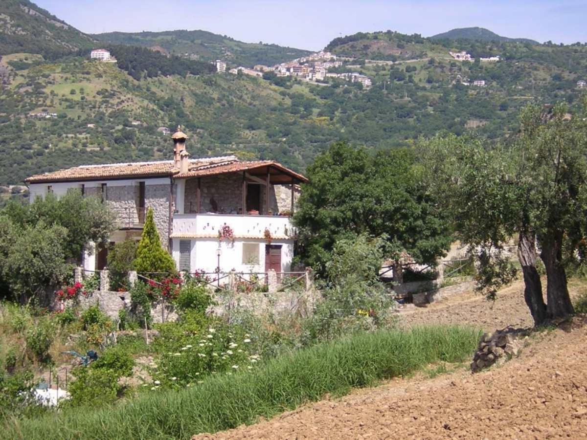 Agriturismo Acampora Villa Cerchiara di Calabria Luaran gambar