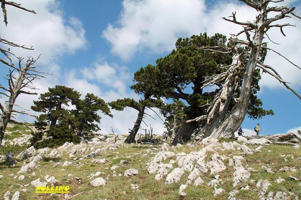 Agriturismo Acampora Villa Cerchiara di Calabria Luaran gambar