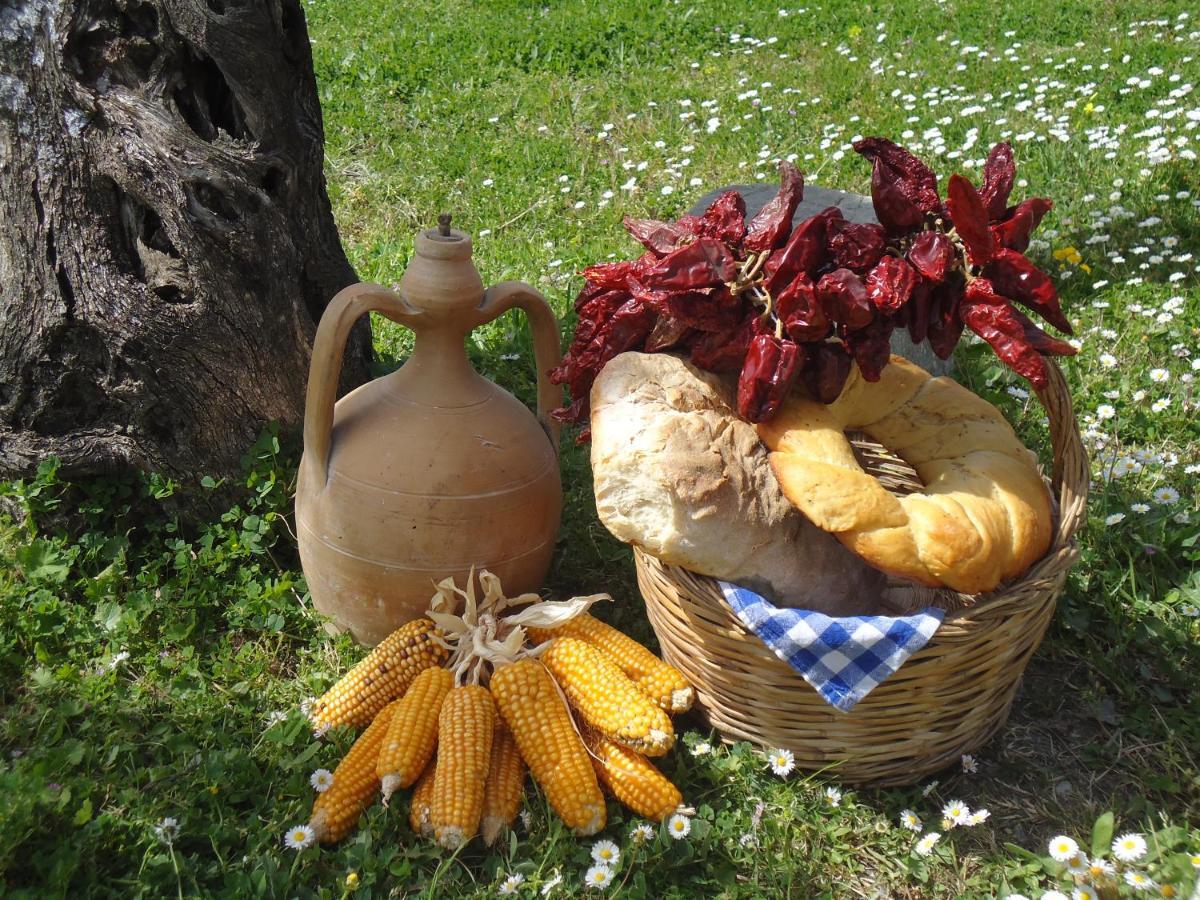 Agriturismo Acampora Villa Cerchiara di Calabria Luaran gambar
